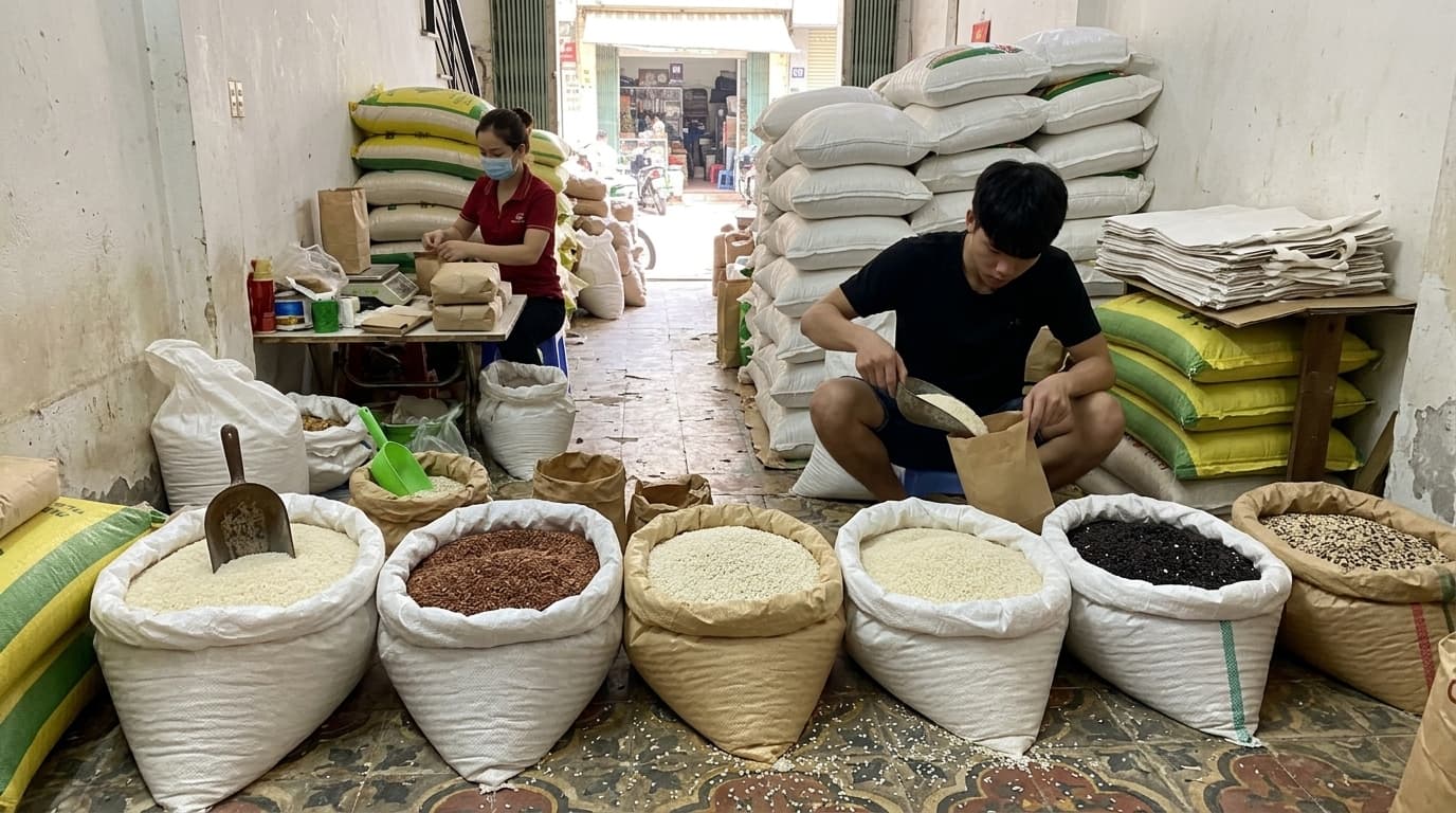 Gạo Nhật · Gạo tám · Gạo lứt · Nếp cái hoa vàng